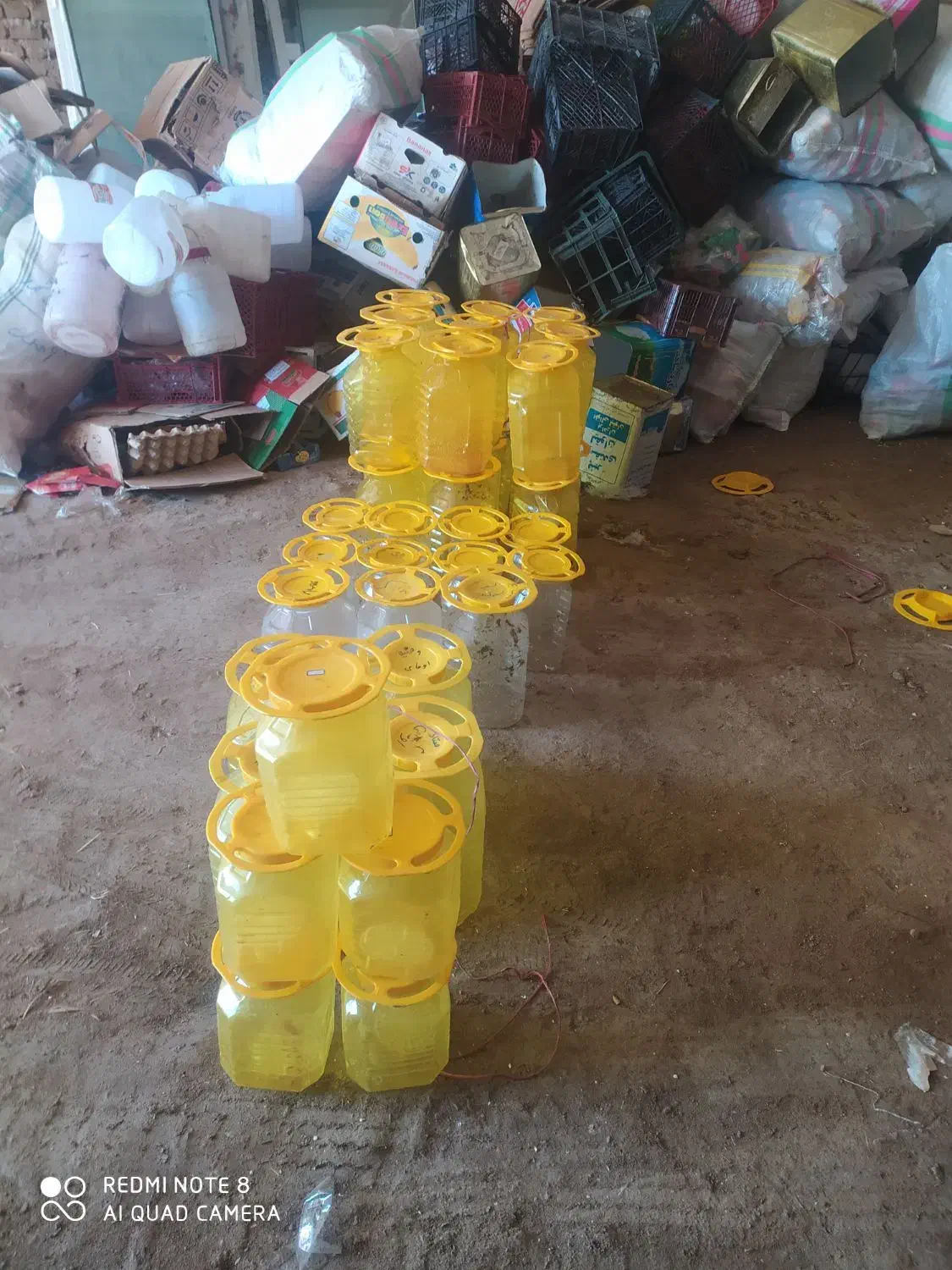 دبه ترشی|ظروف نگهدارنده، پلاستیکی، یک‌بارمصرف|بستان آباد, |دیوار