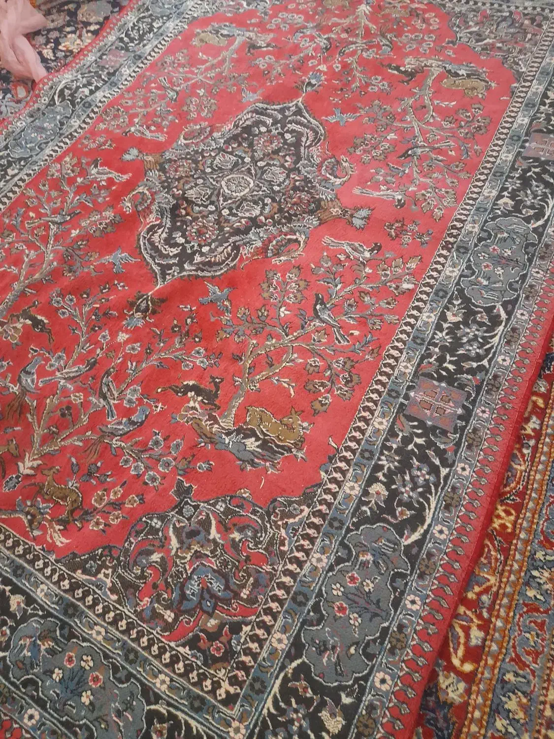 فرش۶متری کارکرده|فرش|همدان, |دیوار