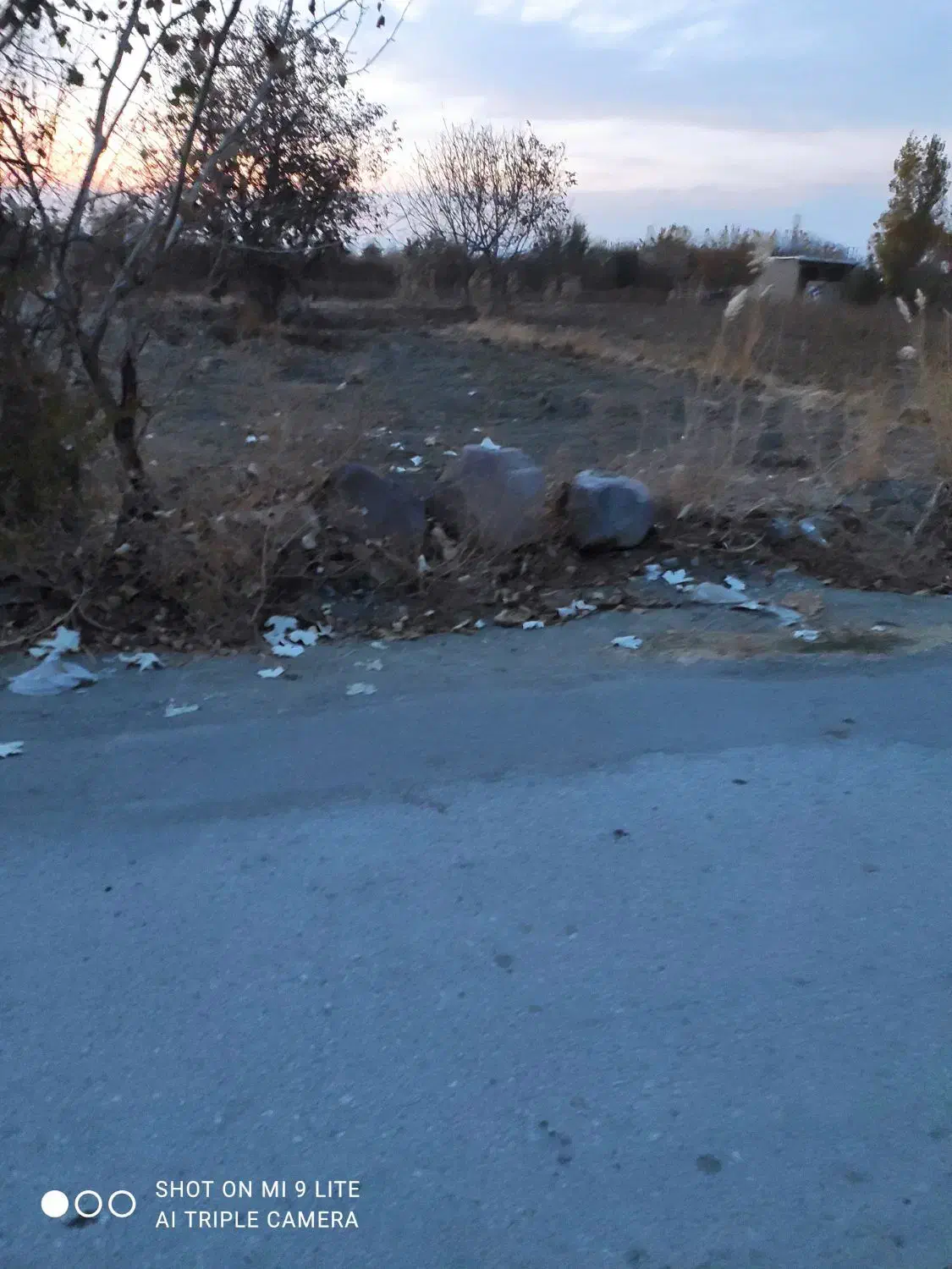 اجاره زمین یک و نیم طناب با برق در روستای طلاتپه|اجارهٔ دفتر صنعتی، کشاورزی، تجاری|ارومیه, |دیوار