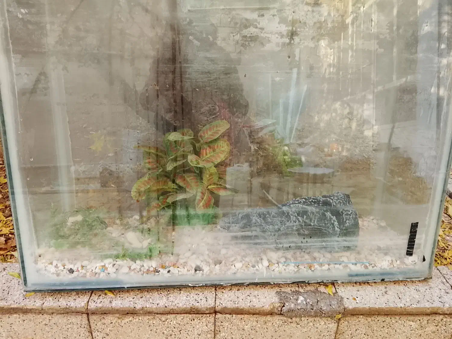 آکواریوم|ماهی|پاکدشت, حصار امیر|دیوار