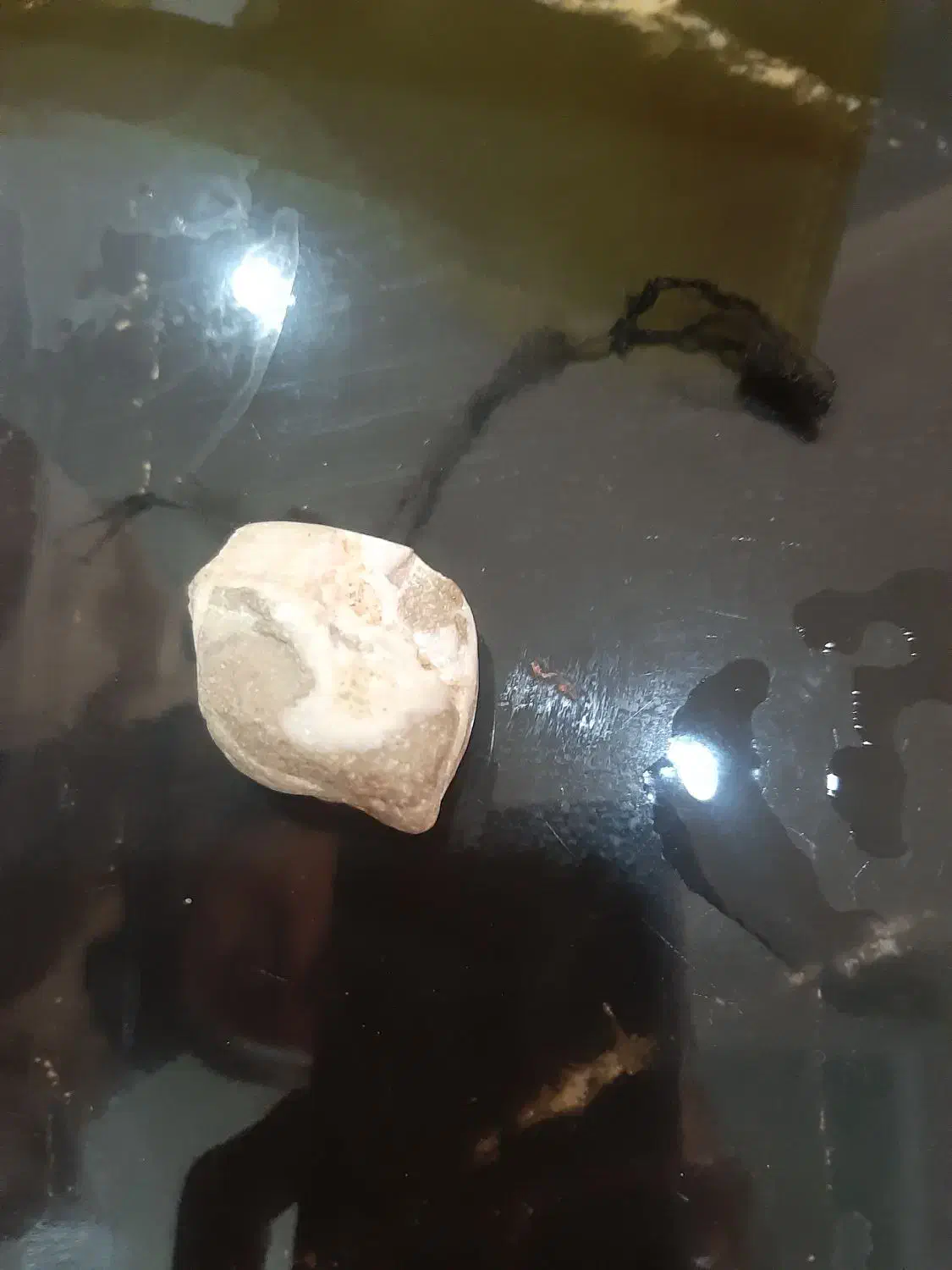 سنگ|کلکسیون اشیاء عتیقه|شهریار, شهرک امیریه|دیوار