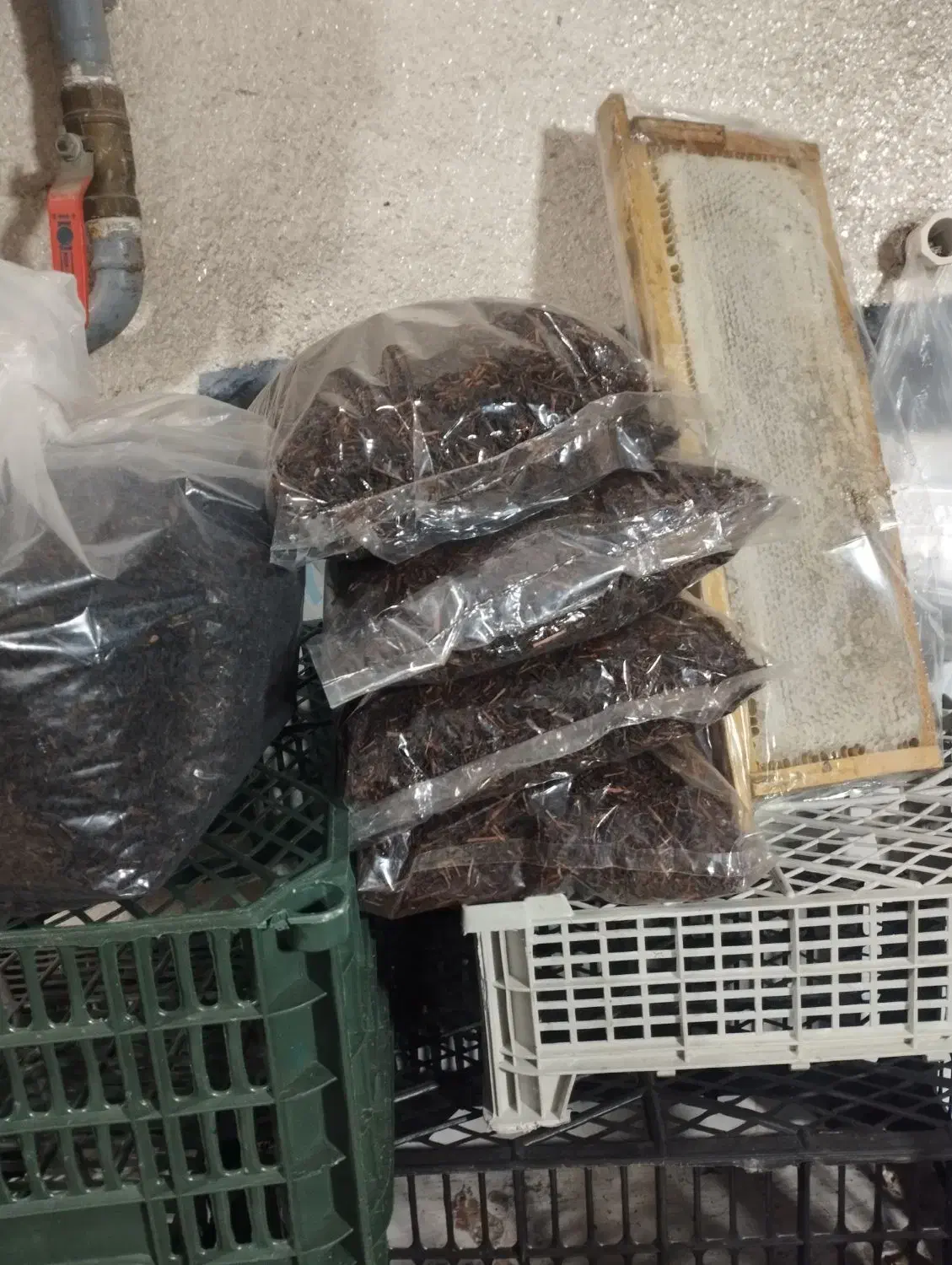 محصولات ارگانیک چای وعسل محلی سیاهمزگی|خوردنی و آشامیدنی|رشت, یخسازی|دیوار