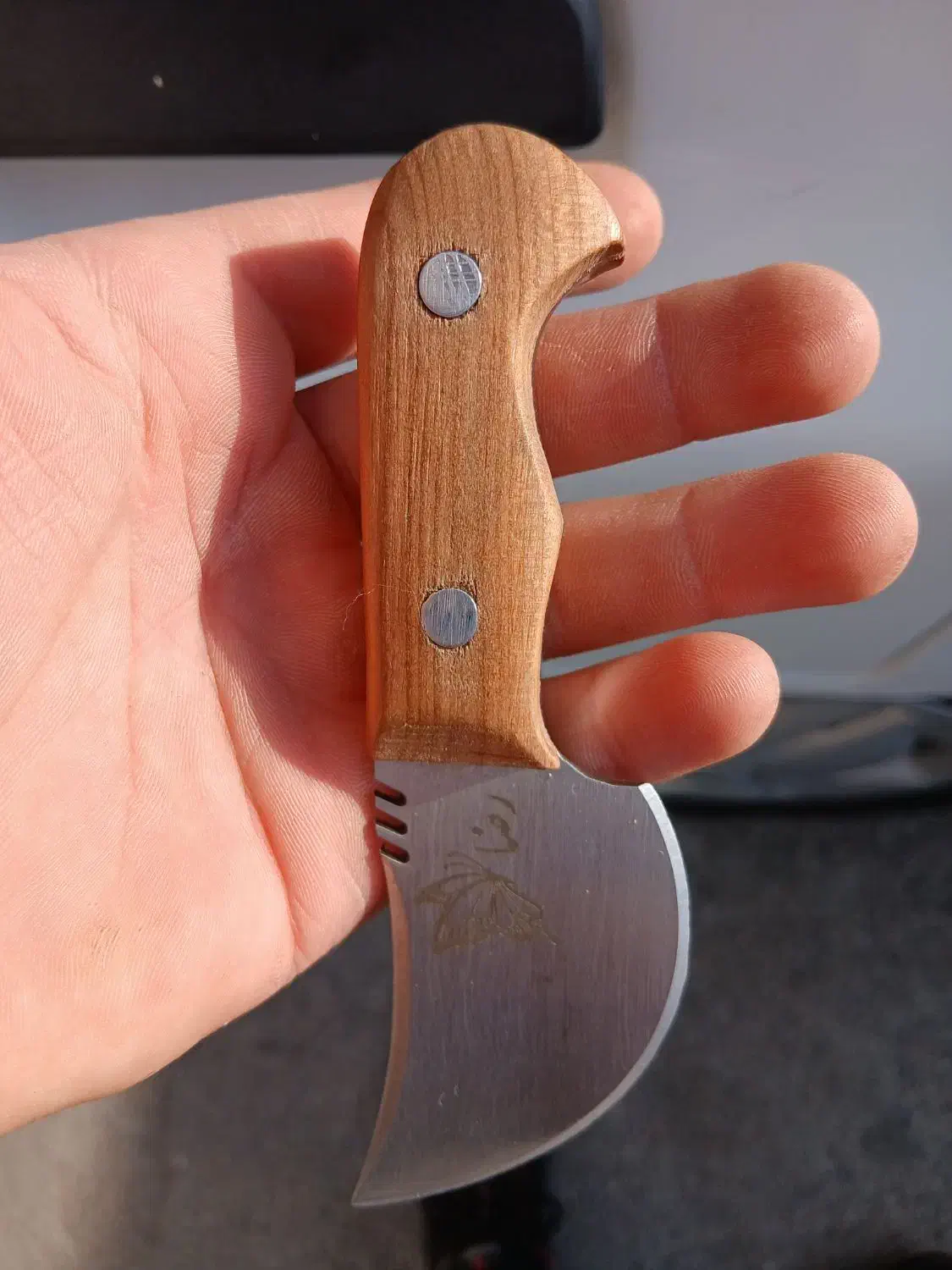 کسر|کلکسیون اشیاء عتیقه|آذرشهر, |دیوار