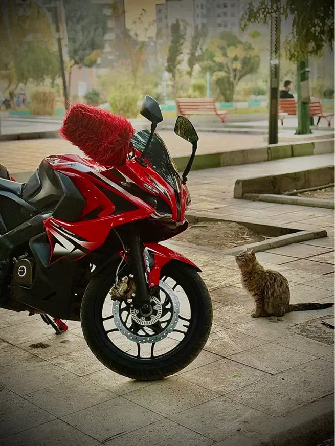 Rs200|موتورسیکلت|تهران, افسریه شمالی|دیوار