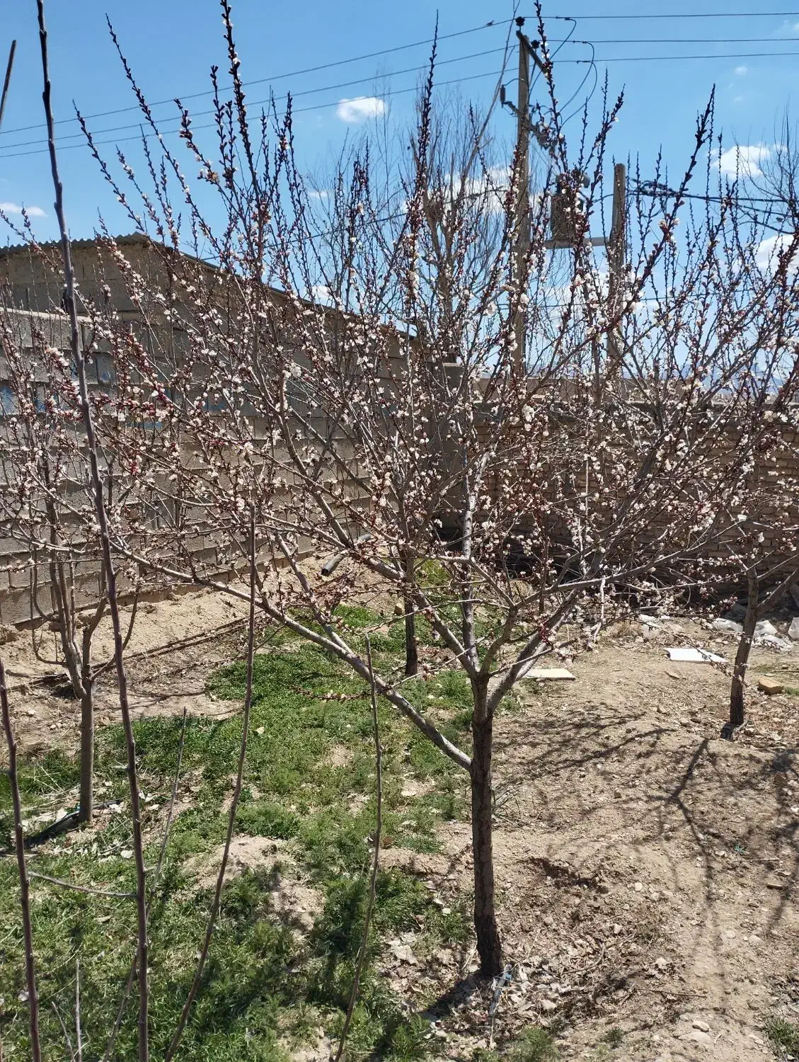 منزل مسکونی در روستای نماگرد|اجارهٔ خانه و ویلا|داران, |دیوار