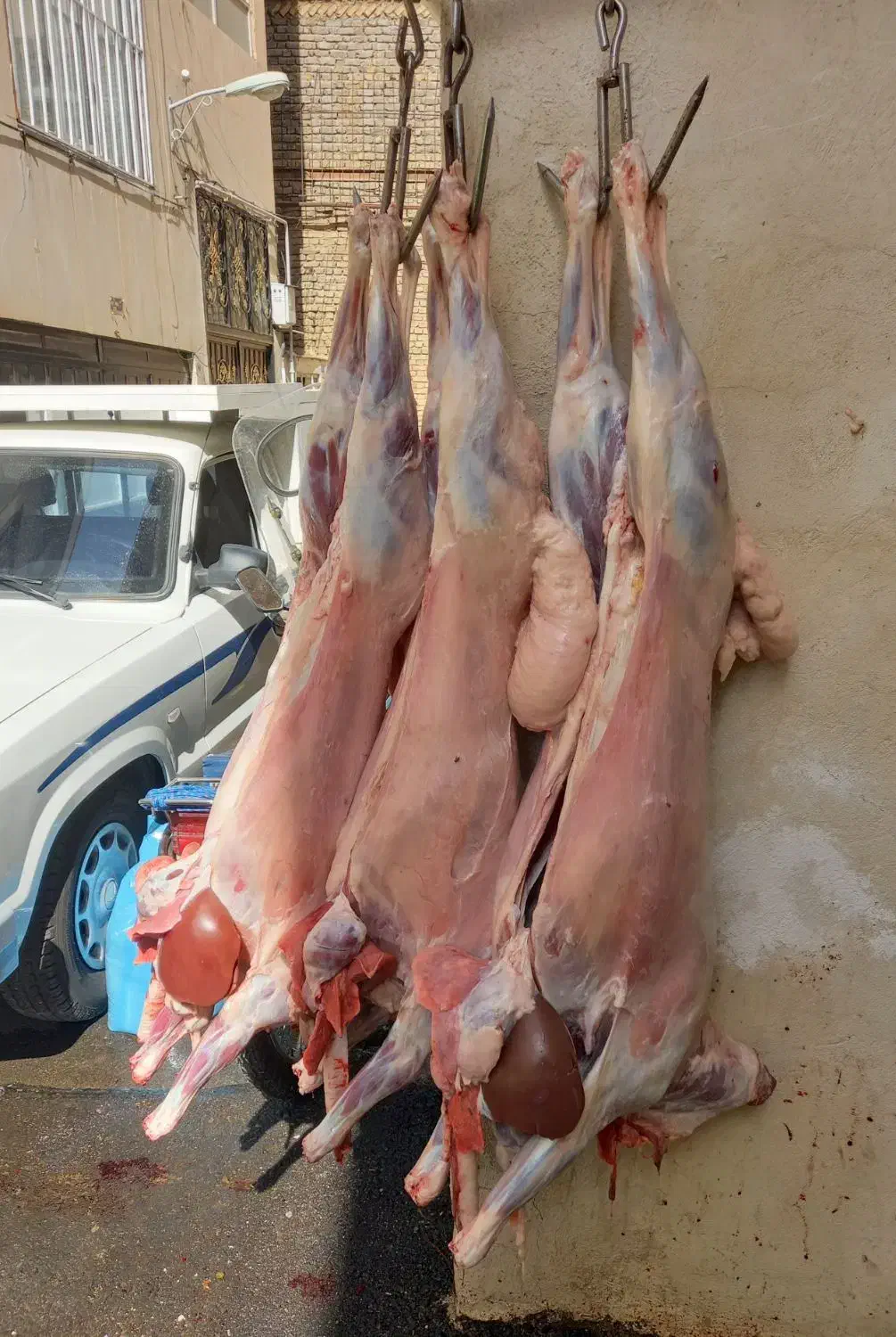 گوسفند زنده همراه با قصاب سلاخ سیار|حیوانات مزرعه|تهران, یافت‌آباد|دیوار