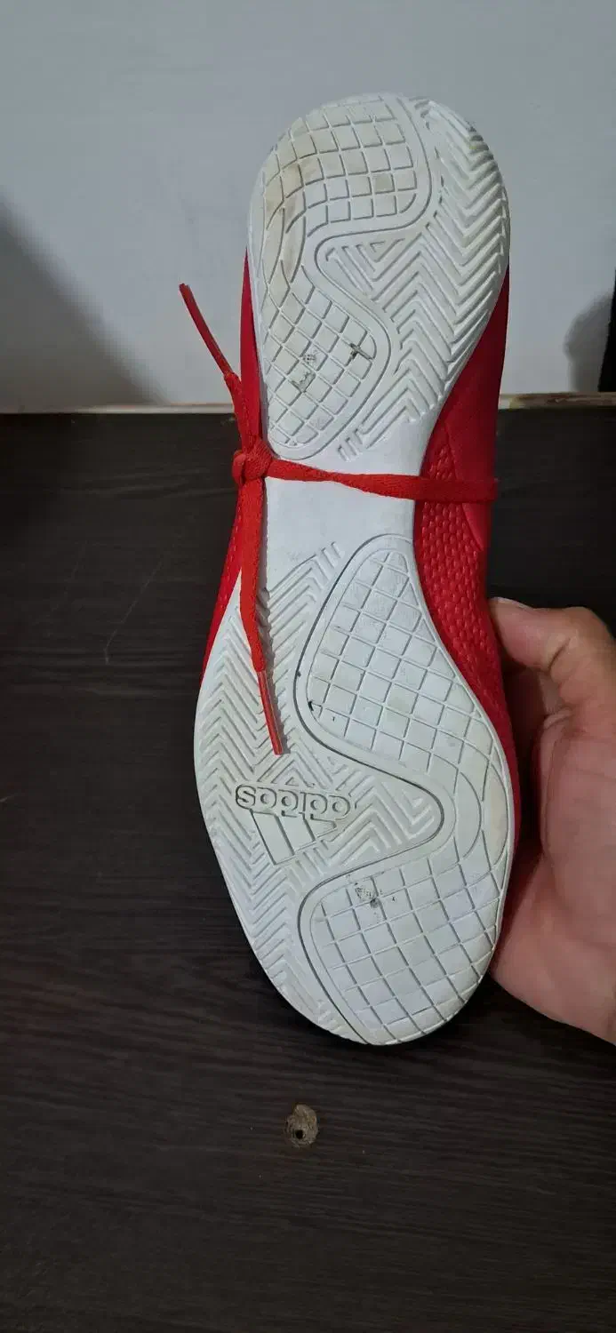 کفش سالنی اورجینال|تجهیزات ورزشی|تربت جام, میان جام|دیوار