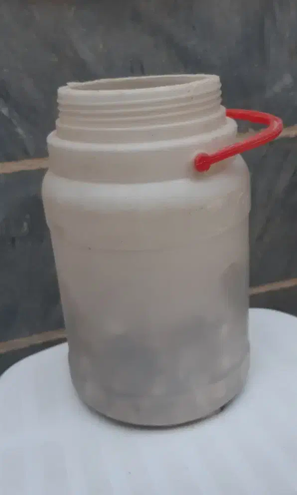 صدف|صنایع دستی و سایر لوازم تزئینی|اهر, |دیوار