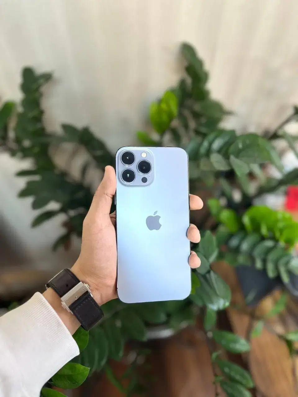 13PRO Max|موبایل|قزوین, |دیوار