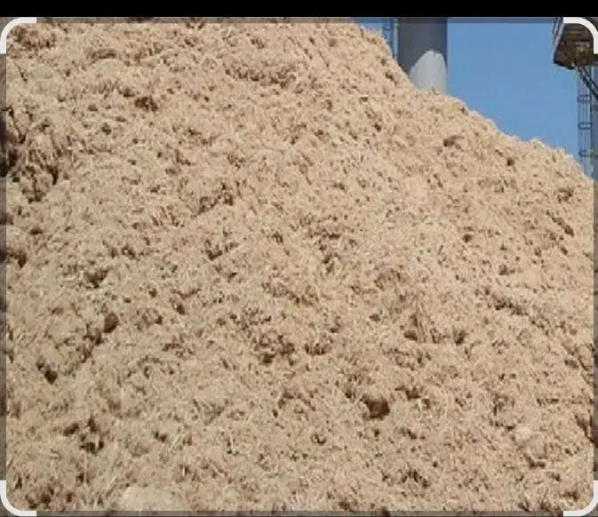 تفاله باگاس|حیوانات مزرعه|قم, بکایی|دیوار