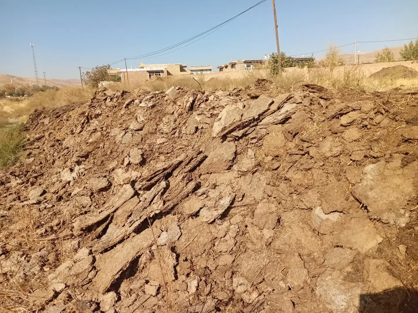 کود حیوانی گوسفند پهن سوخته|خدمات باغبانی و درختکاری|نوشین شهر, |دیوار