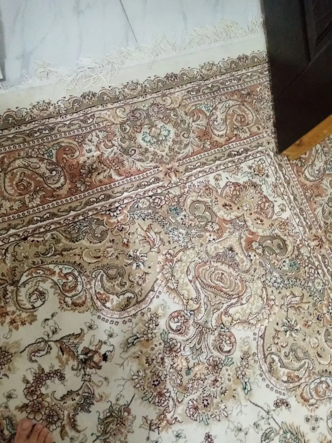 فرش 700 شانه|فرش|رشت, لاکان شهر|دیوار