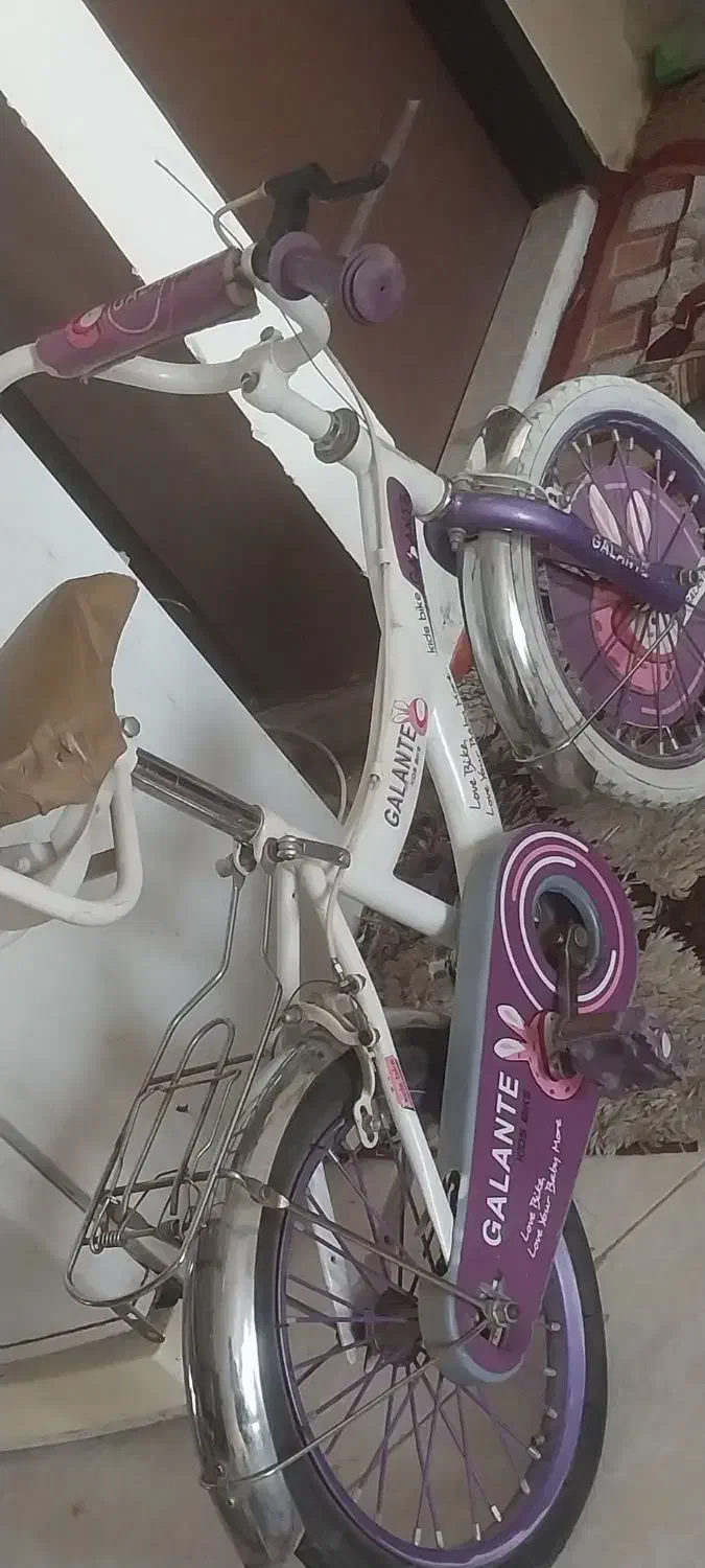 دوچرخه|دوچرخه، اسکیت، اسکوتر|گلبهار, شهر جدید گلبهار|دیوار