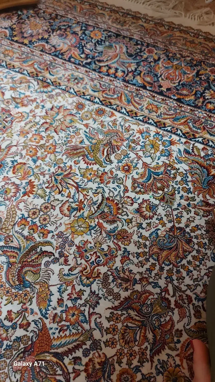 فرش ۱۲ متری|فرش|بندرعباس, |دیوار