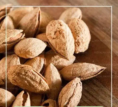 فروش نهال بادام آذر نیم کاغذی|خدمات باغبانی و درختکاری|تبریز, |دیوار