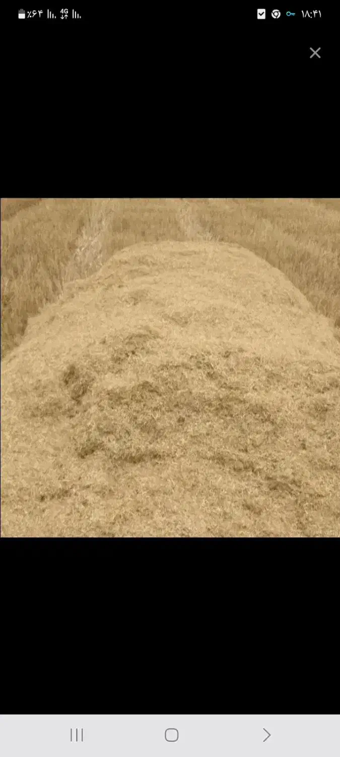 کپک برج برای حیوانات اندک غاز گاو|لوازم جانبی حیوانات|تالش, هشتپر|دیوار