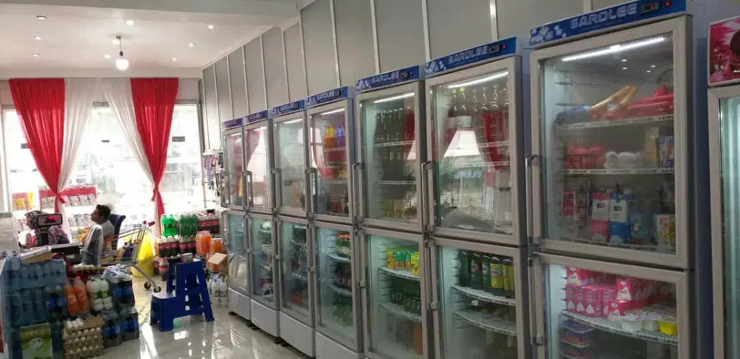 تعمیرات تخصصی انواع یخچال فریزر|خدمات پیشه و مهارت|بندر گناوه, |دیوار