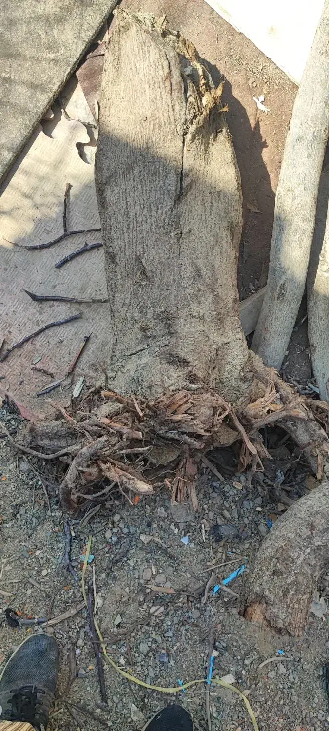 مبلمان|مبلمان خانگی و میز عسلی|رودهن, |دیوار