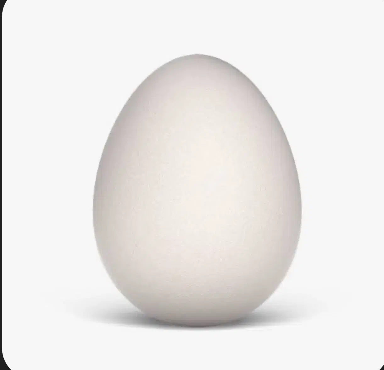 سفیده تخممرغ تازه، طبیعی و روزانه از آشپزخانه|خوردنی و آشامیدنی|شیراز, معالیآباد|دیوار