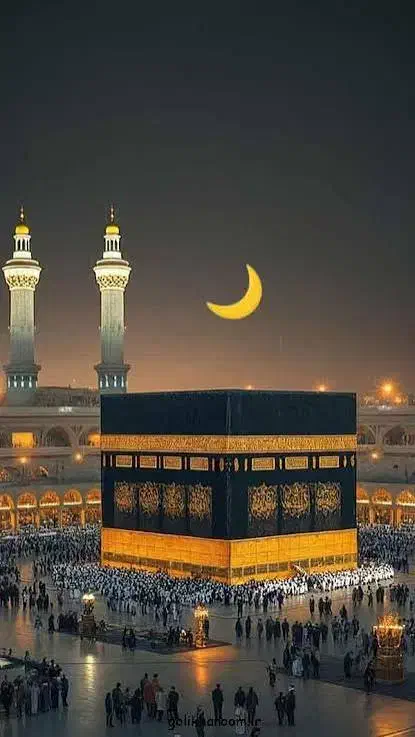 فروش فیش عمره ۸۶|تور و چارتر|شاهین‌شهر, گزبرخوار|دیوار