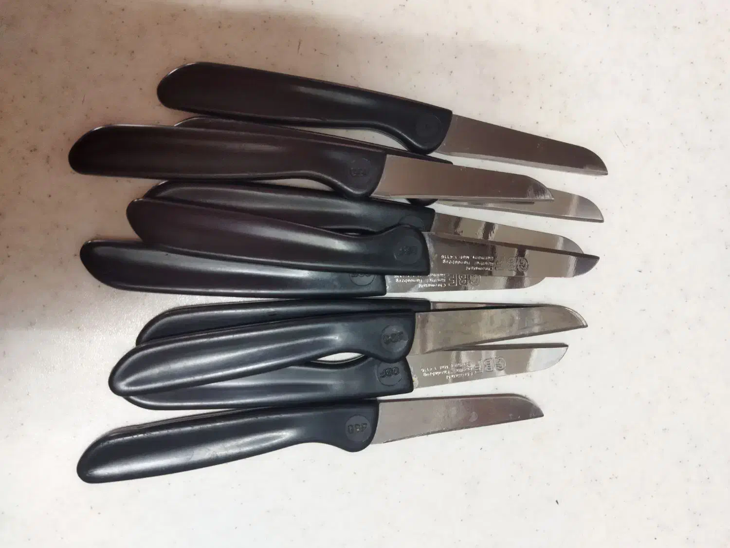 ظروف|ظروف سرو و پذیرایی|قم, دانشگاه قم|دیوار