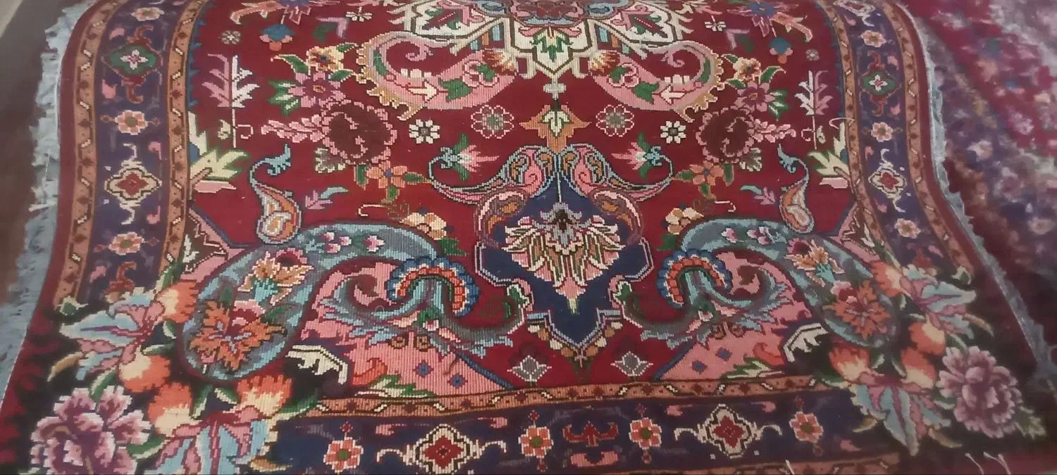 فرش دستباف|فرش|پارسآباد, |دیوار