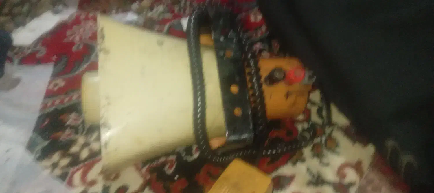 بلنگو جارزن در حد نو|صوتی و تصویری|شیراز, زند|دیوار