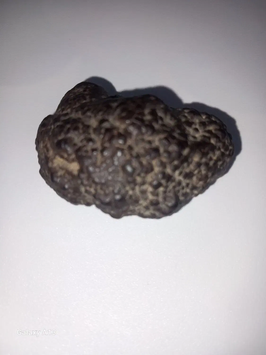 شهاب سنگ  سنگ آسمانی|کلکسیون اشیاء عتیقه|فردیس, فردیس|دیوار