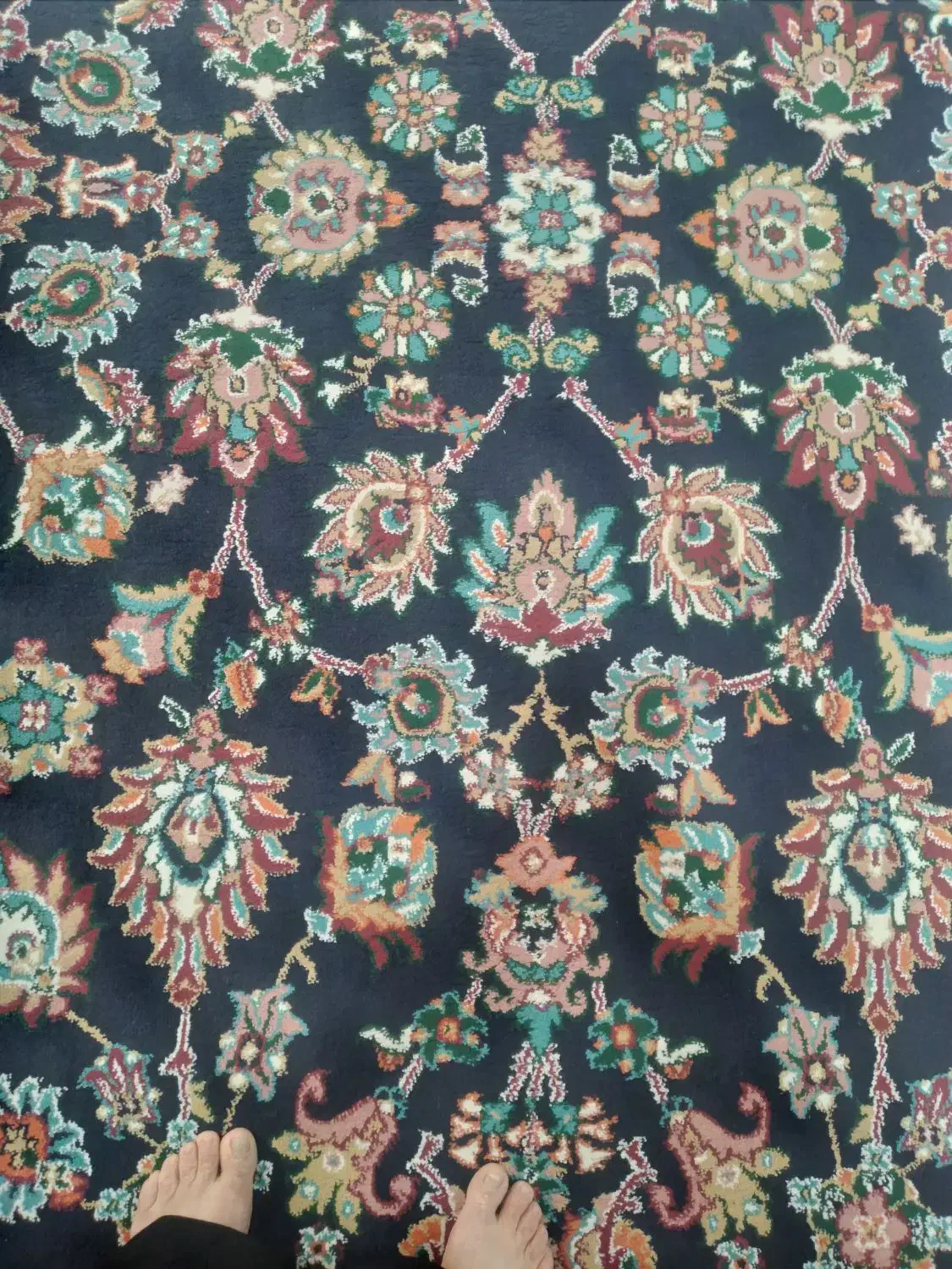 گلیم فرش ۶ متری|گلیم، جاجیم، گبه|خرم‌آباد, |دیوار