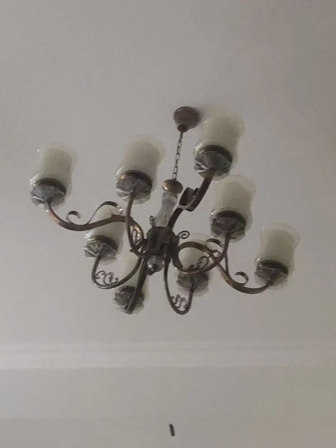 لوستر|لوستر و چراغ آویز|بندرعباس, |دیوار