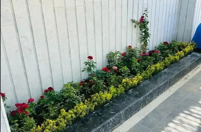 دیزاین خاص با گل و گیاه و همراه مشاوره رایگان|خدمات باغبانی و درختکاری|آق قلا, |دیوار