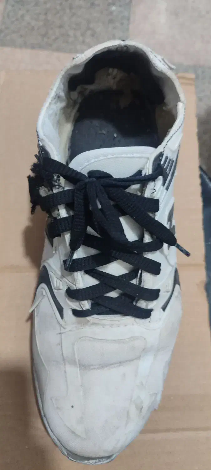 کفش اسپرت|کیف، کفش، کمربند|خوی, |دیوار