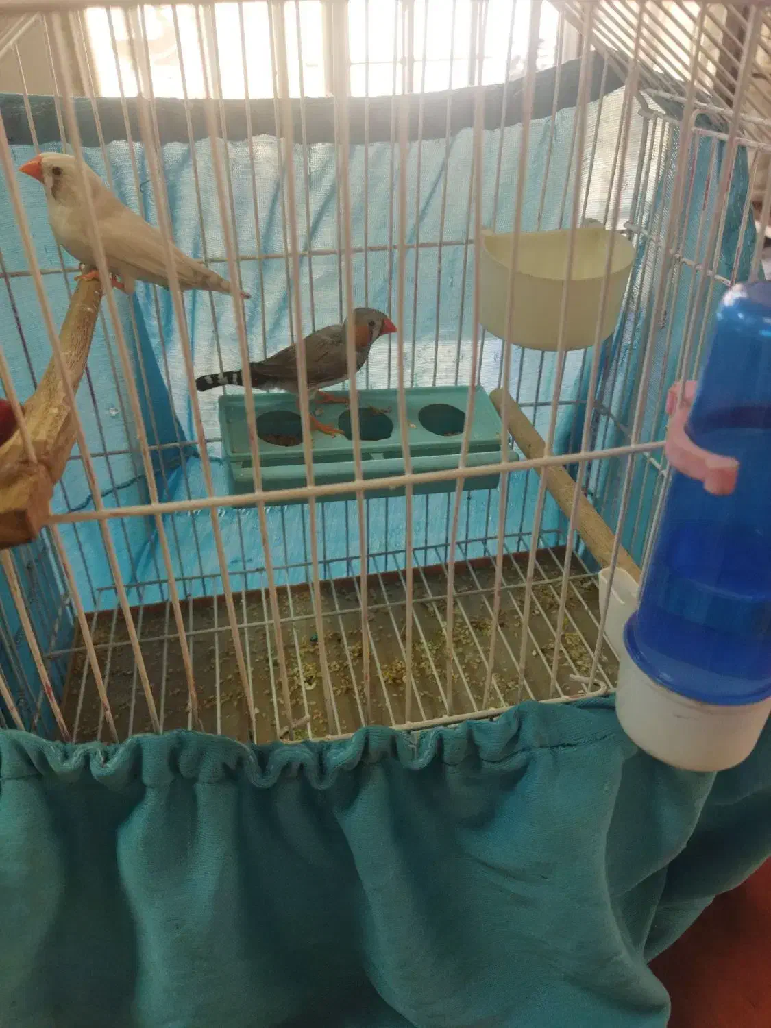 تلویزیون وفنج مولد|تلویزیون و پروژکتور|تهران, صاحب الزمان|دیوار