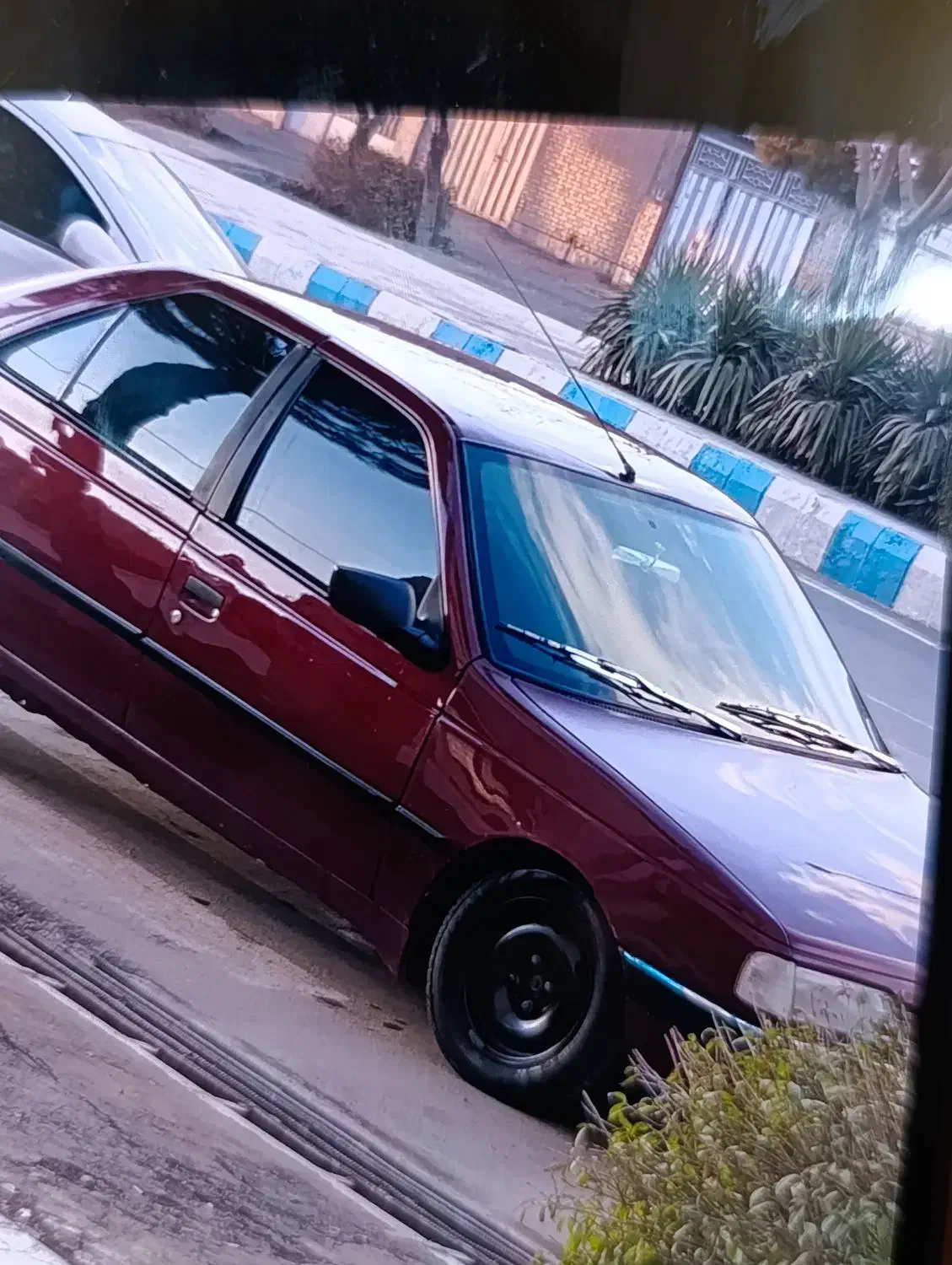 مدل 81 پژو 1800|خودرو سواری و وانت|تربت‌حیدریه, بی بی حسنیه|دیوار