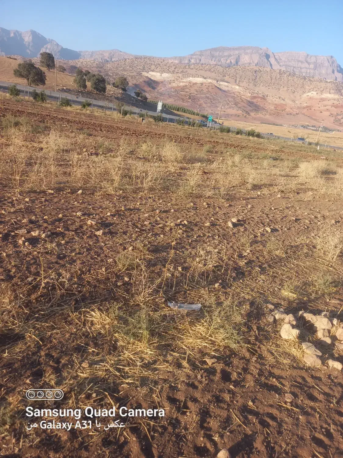 زمین باغ .کشاورزی|فروش زمین و ملک کلنگی|ویسیان, |دیوار