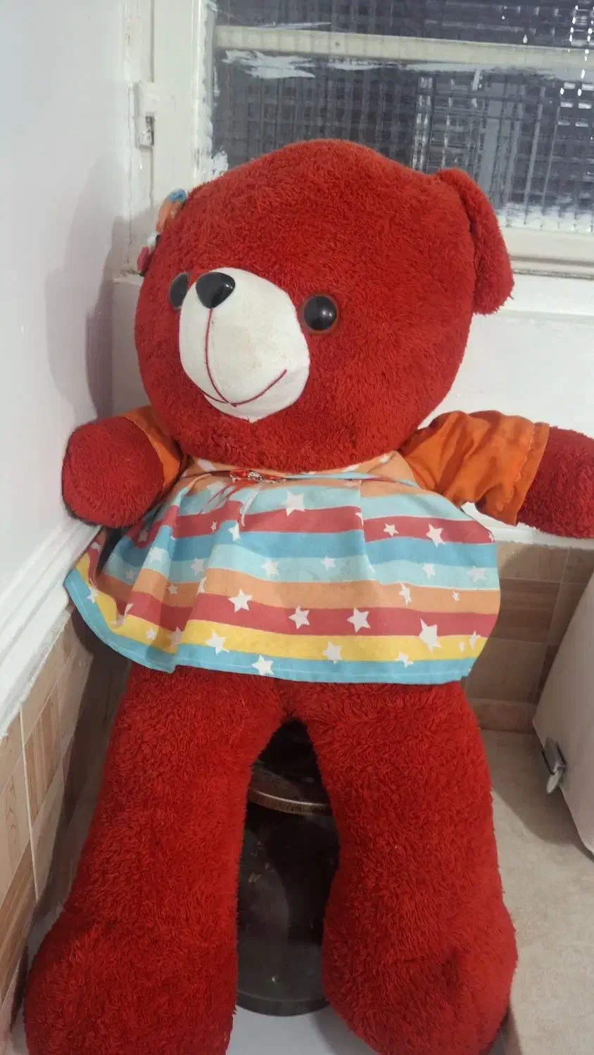 عروسک خرس|اسباب‌‌بازی|قم, قلعه کامکار|دیوار