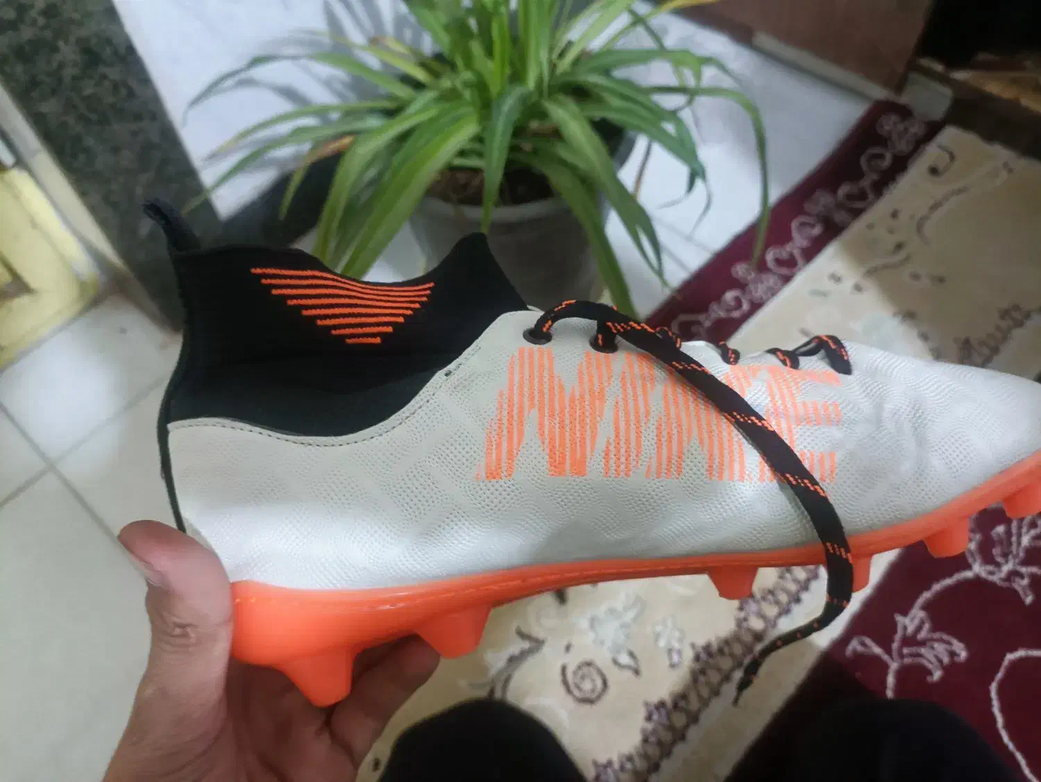 کفش نو|کیف، کفش، کمربند|اسفراین, |دیوار