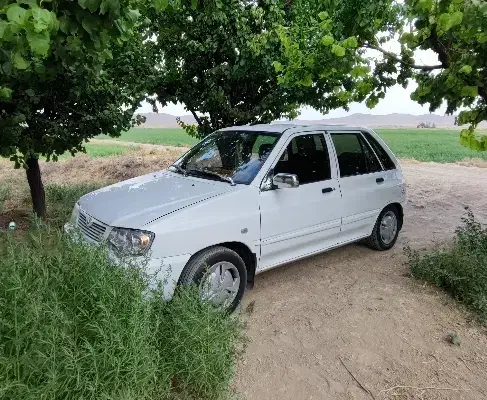 111|خودرو سواری و وانت|ملایر, |دیوار