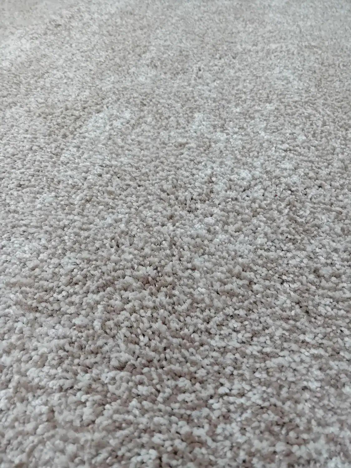 موکت ۱۲ متری|موکت|ایلام, |دیوار