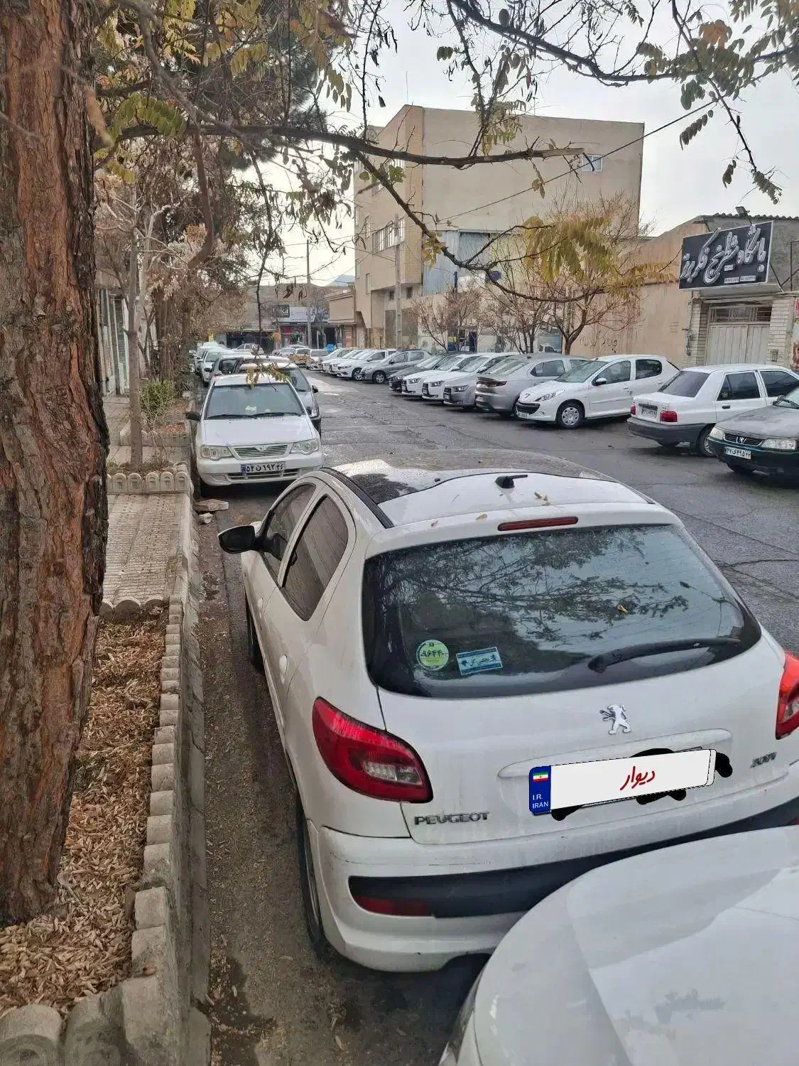 پژو 207 پانوروما تیپ پنج|خودرو سواری و وانت|تربتحیدریه, شهید قرنی|دیوار