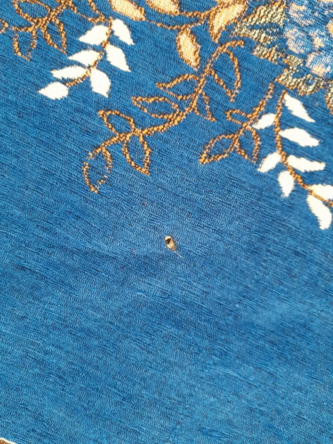 روفرشی ۶ متری|روفرشی|اشترینان, |دیوار