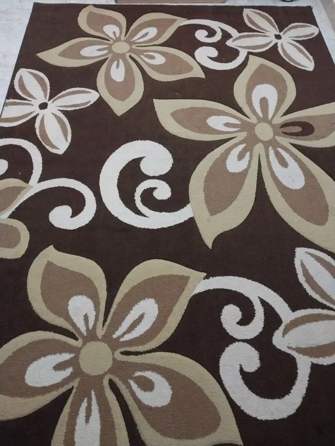 فرش ۶ متری همراه پا دری|فرش|بندر انزلی, لیچارگی حسن رود|دیوار