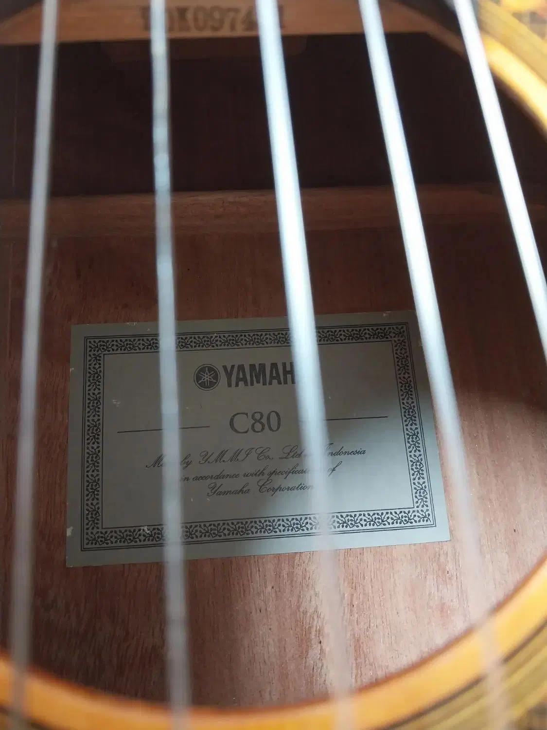 گیتار|گیتار، بیس، امپلیفایر|گنبد کاووس, |دیوار