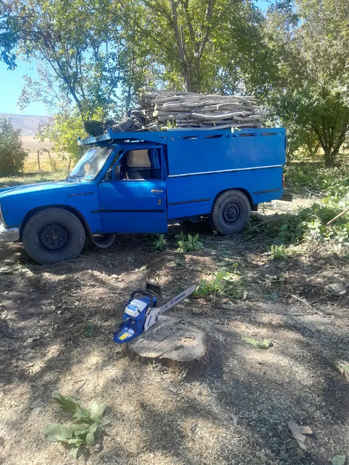 برش و قطع درخت|خدمات باغبانی و درختکاری|ایوان, |دیوار