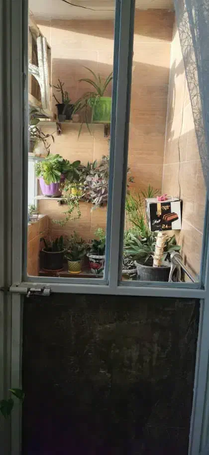 آپارتمان تک خواب 85متری|فروش آپارتمان|کازرون, |دیوار