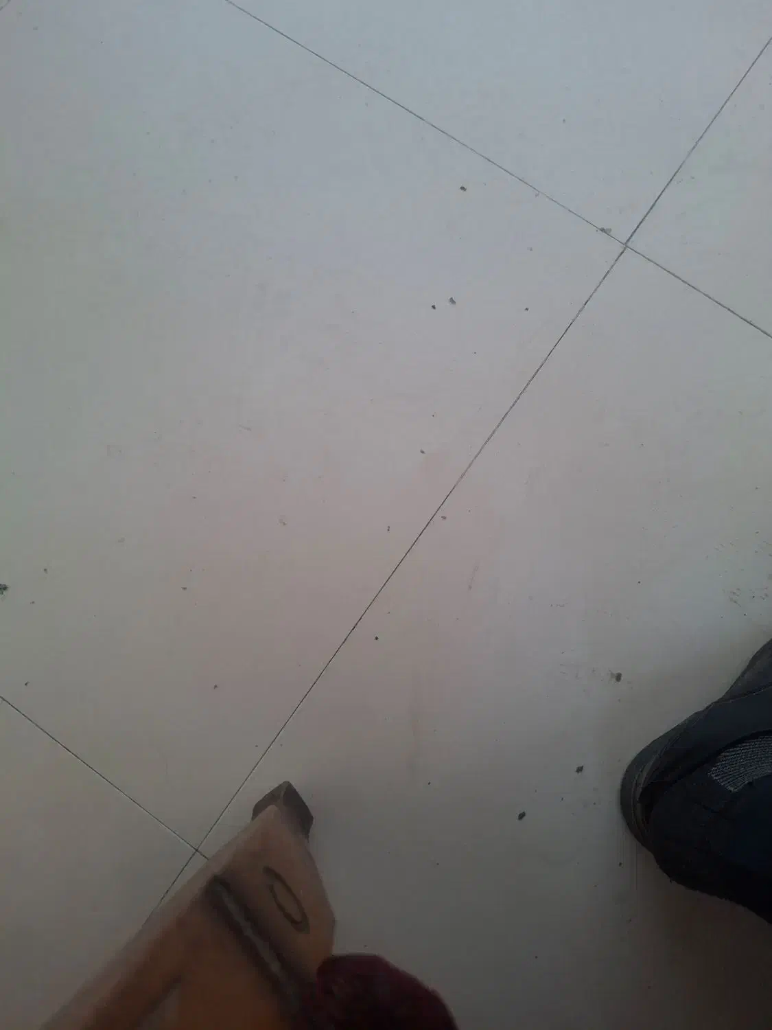 استخدام|استخدام خدمات فروشگاه و رستوران|گرمسار, |دیوار