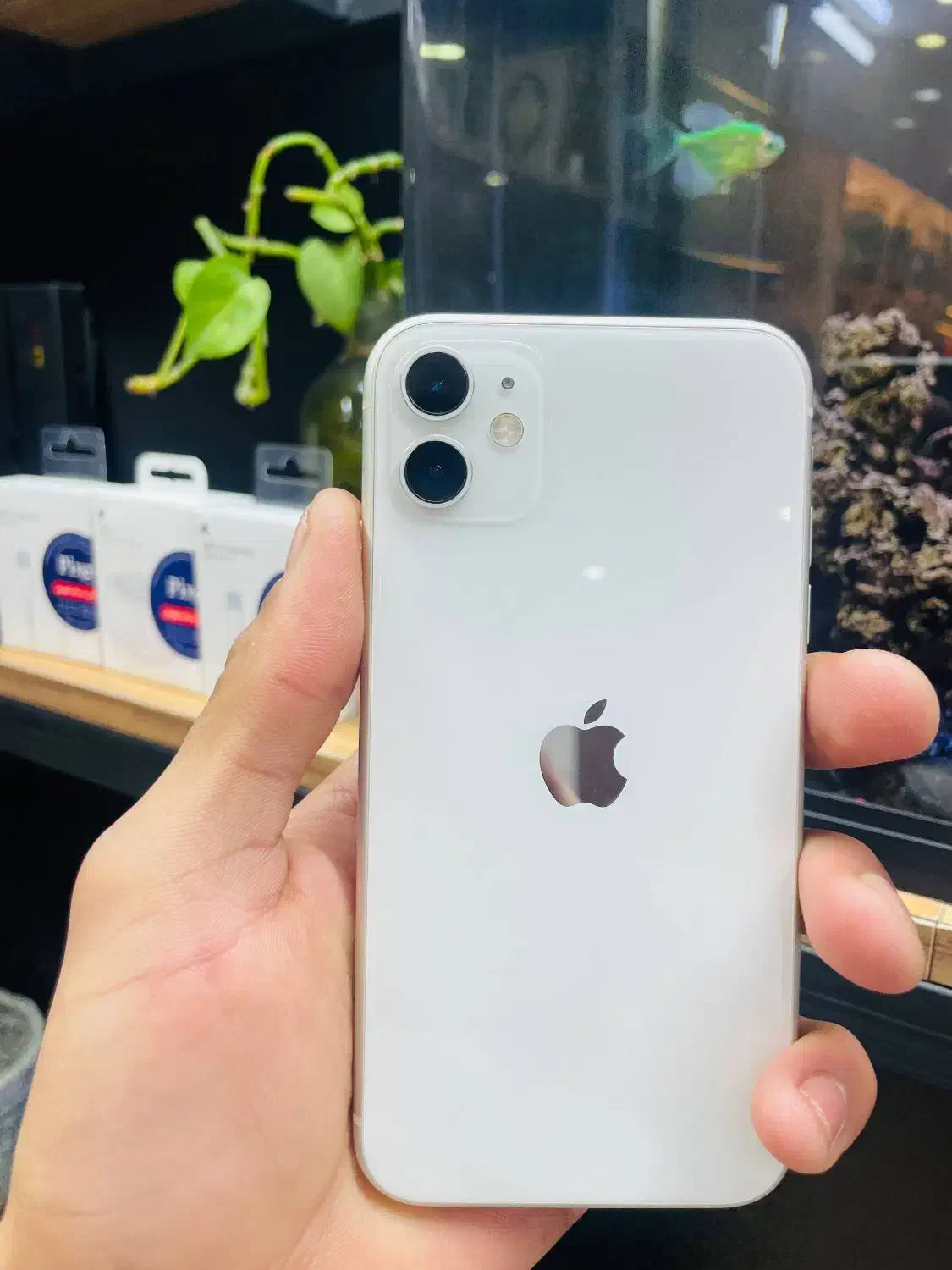 iphone11 خاص برای یک آدم خاص پسند|موبایل|مشهد, کوی ولیعصر|دیوار
