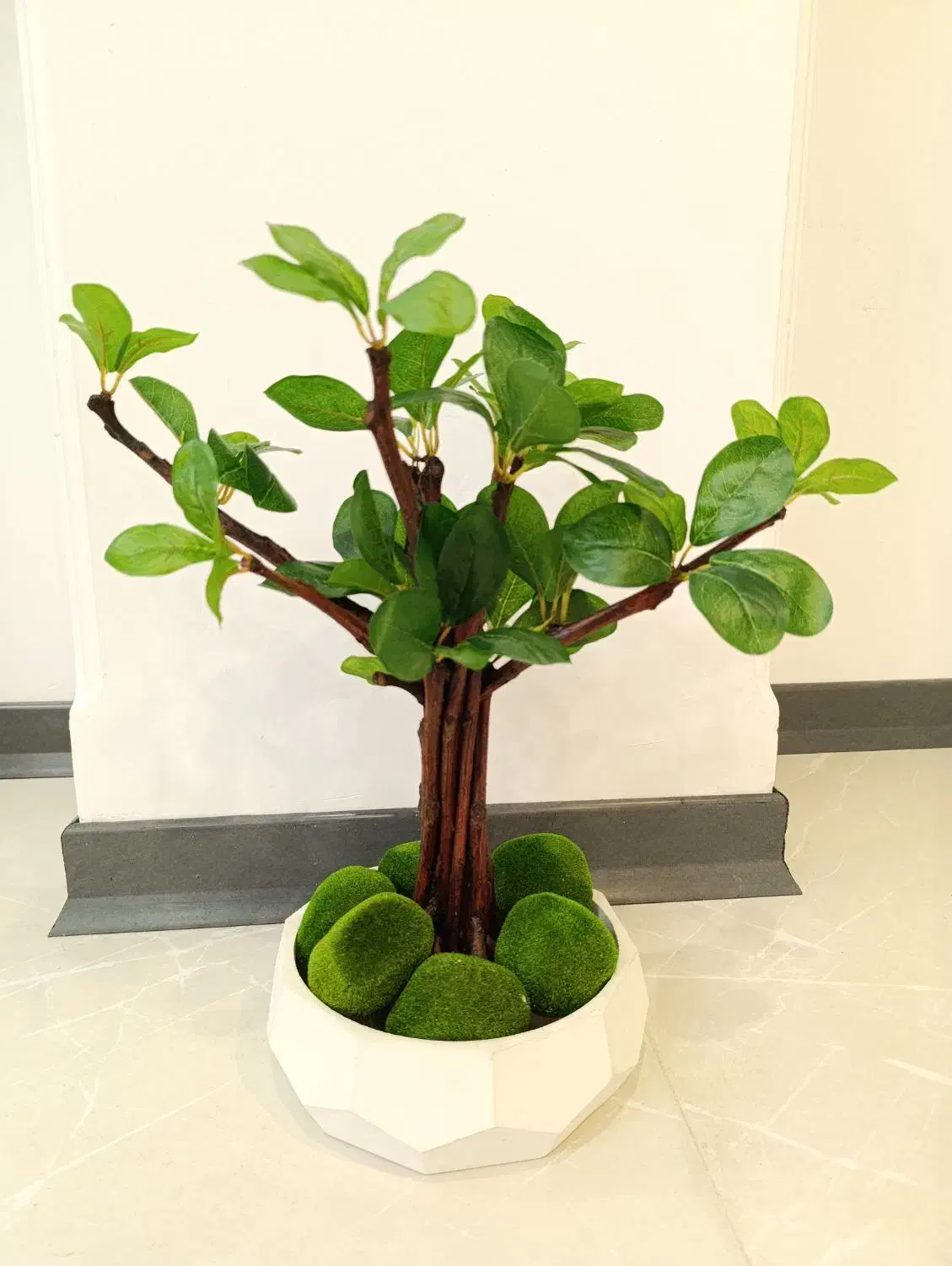 درختچه فیکوس آمستل بنسای مصنوعی جنسینگ گل درخت|گل مصنوعی|تهران, قصر فیروزه ۱|دیوار