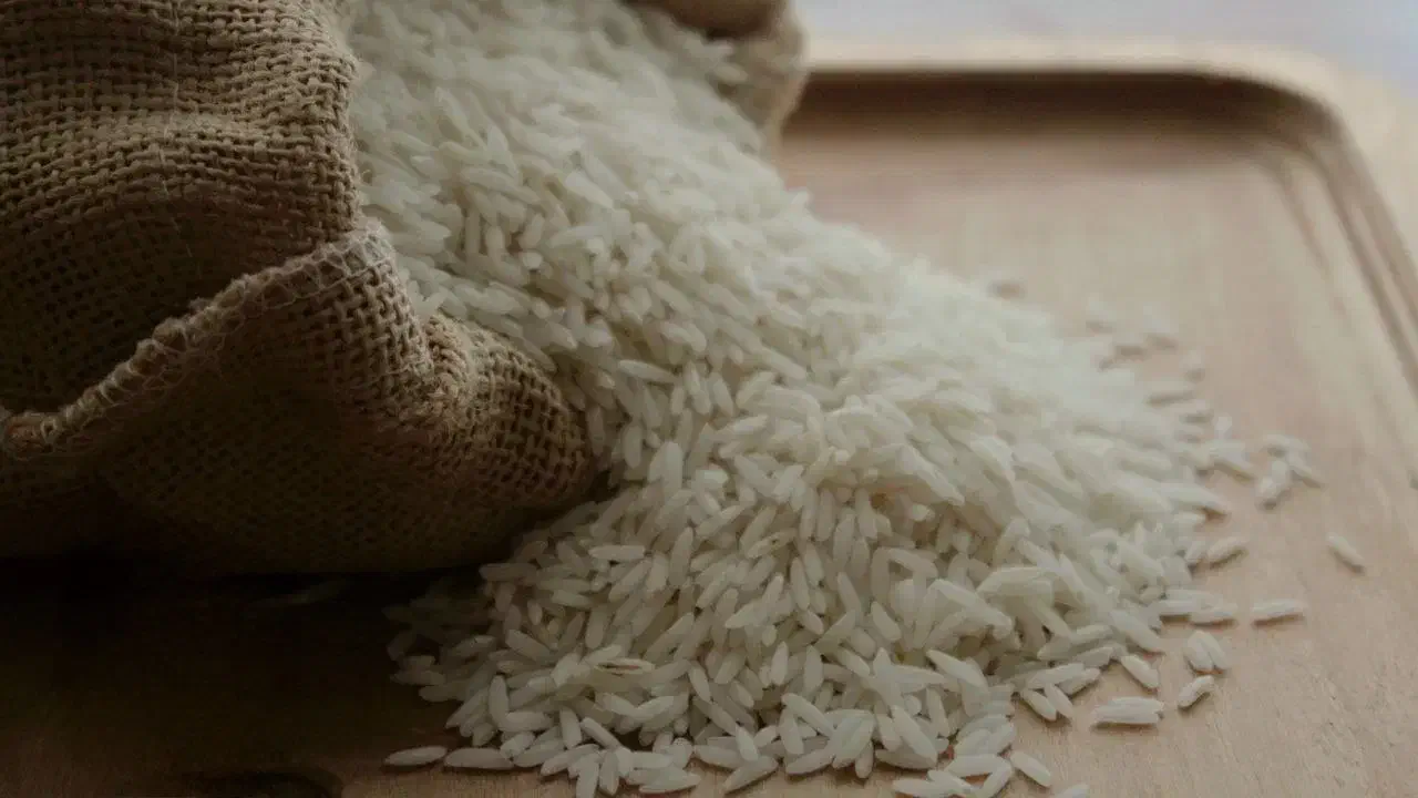 برنج طارم شمال (مازندران) رسید.|خوردنی و آشامیدنی|بندرعباس, |دیوار