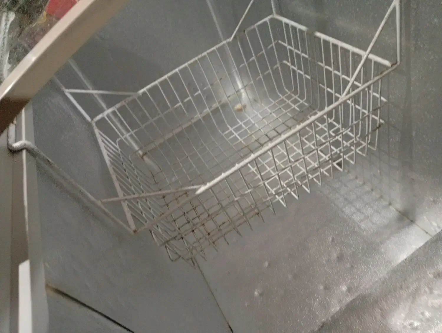 فریزر|یخچال و فریزر|رودسر, |دیوار